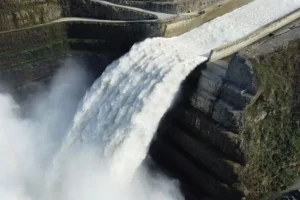 2026 03 1024799998.png