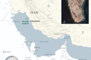 B 2026 03 1015226182.png