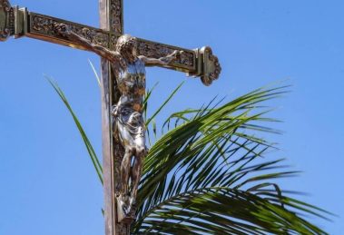 2026 04 1128691538.png