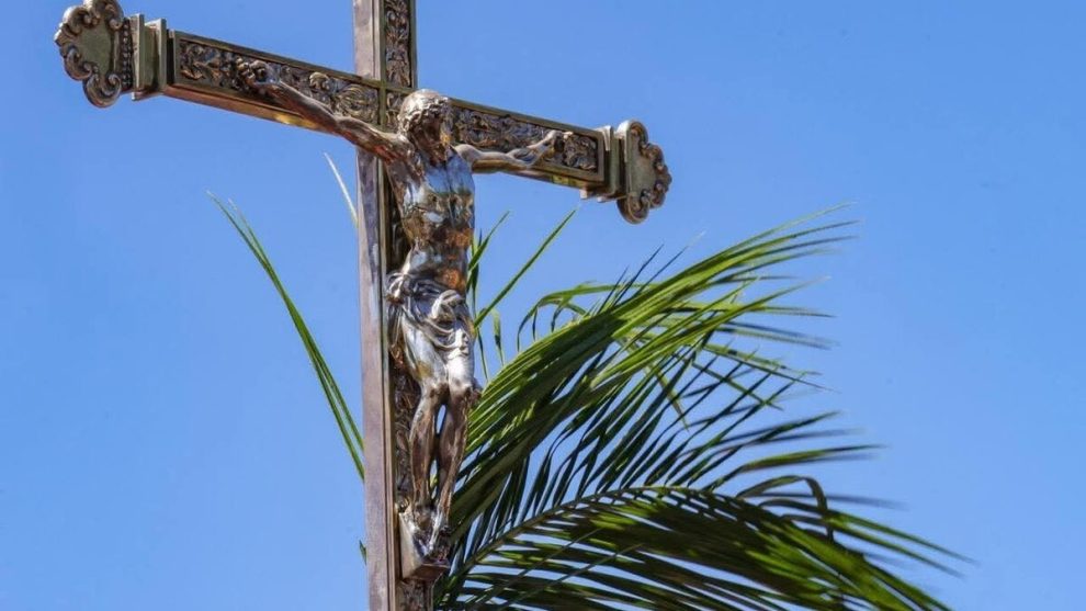 2026 04 1128691538.png