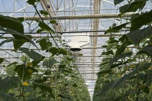 2026 04 1148673464.png