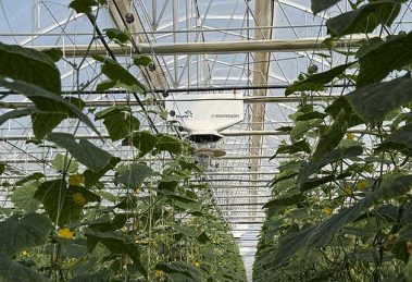 2026 04 1148673464.png