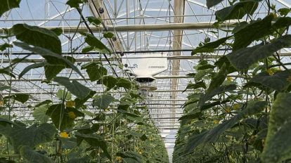 2026 04 1148673464.png