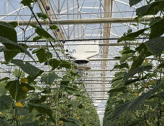 2026 04 1148673464.png