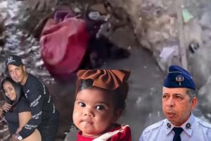 2026 04 1148678815.png