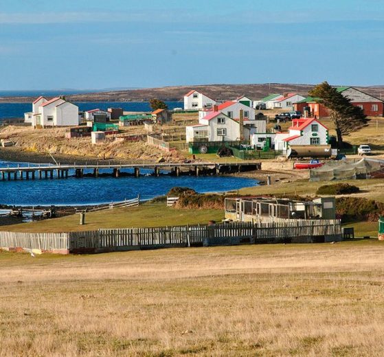 2026 04 1151133627.png