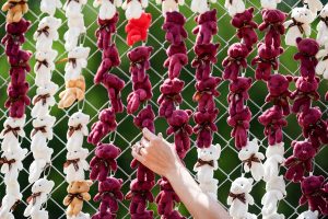 2026 04 1153945895.png