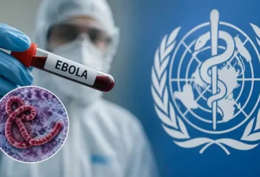 1779598352150 dich ebola tai chdc congo dien bien nghiem trong voi hon 200 ca tu vong nguy co lan rong o chau phi