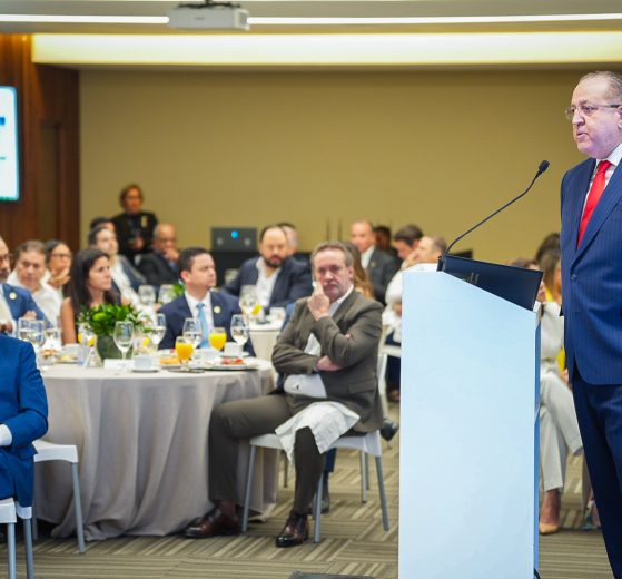 El ministro de Hacienda y Economía, Magín Díaz, durante el encuentro industrial de la AIRD.
