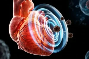Heart as shield mechanical force