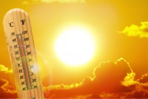 Ola calor 1024x576