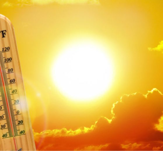 Ola calor 1024x576