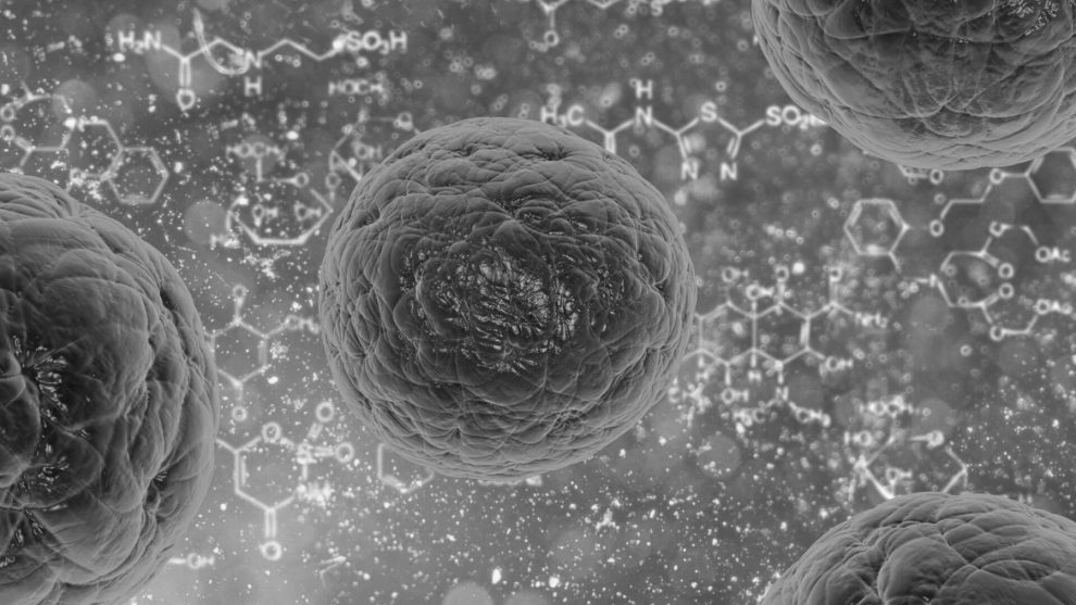 Publicdomainpictures bacteria 163711 1920 1920x1080