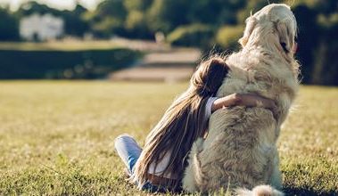 When a pet dies how to help your child cope