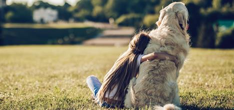 When a pet dies how to help your child cope