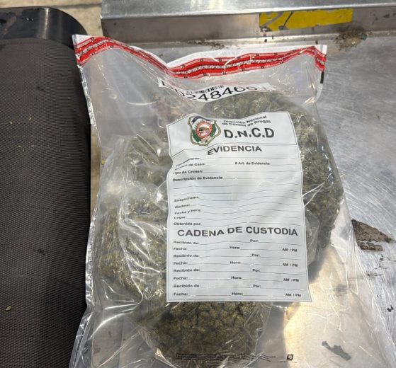 22 INCAUTAN EN EL AILA OCHO PAQUETES Y LATAS LLENAS DE MARIHUANA