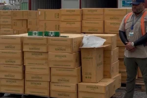 Decomisan contrabando en caucedo y evitan perdidas fiscales por mas de rd42 mil 20260811 153335 smPu 1200x675