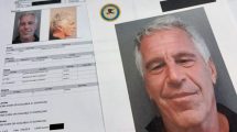 MICHIGAN ESCUELA EPSTEIN