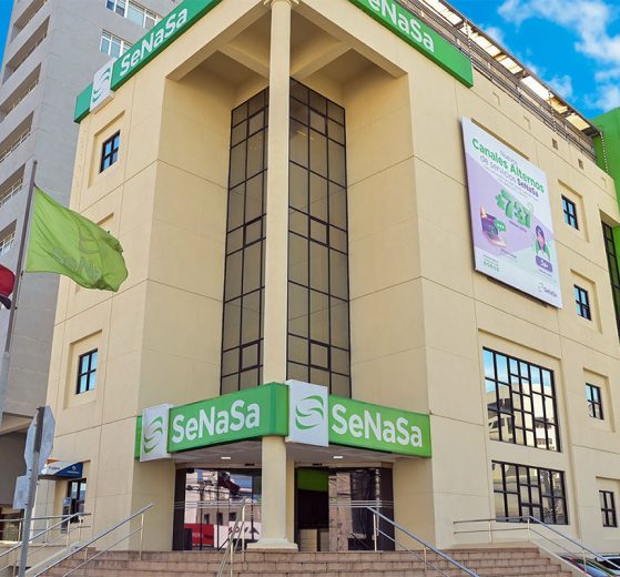 Senasa sede