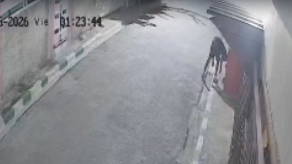 9497112086