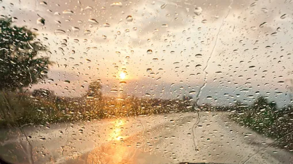 9508072541