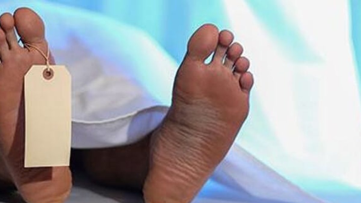 9511203264